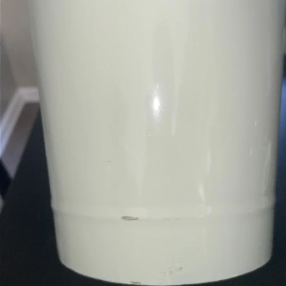 Restoration Hardware Silver Sage Tall Flower Bucket